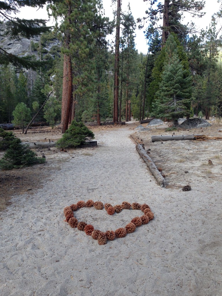 cute find along the trail